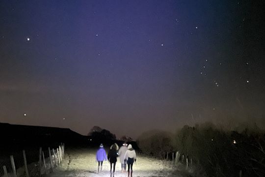 Discover the Magic of the...